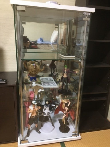 鏡ガラスケースごと　11体