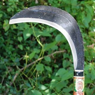 【錆びていても構いません】不要な大カマございませんか？（造林鎌・...