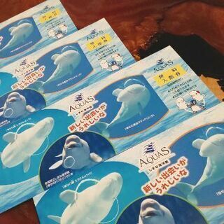 しまねAQUAS🐬🐬🐬入館券(4枚)【有効期限なし】8/13(土)14(日)→💴3000/4枚の画像