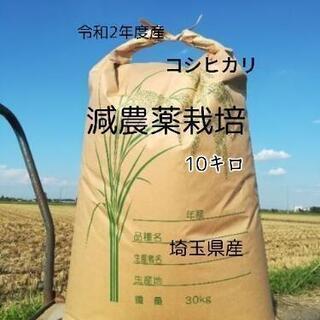 【令和2年度　コシヒカリ】　10キロ　農家直売　減農薬栽培