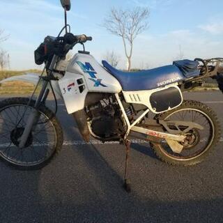 札幌発　MTX50R　GW中市内無料配送‼️