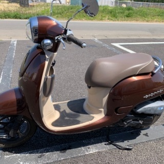 ホンダジョルノ 絶好調の可愛い車体です。の画像