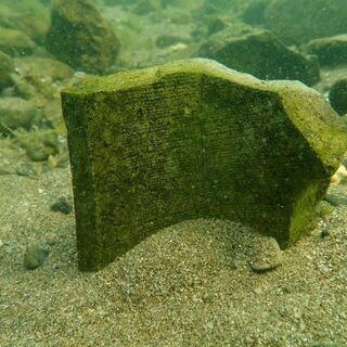 琵琶湖大好きダイバー募集 − 愛知県