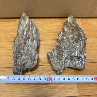 清流石　水槽　熱帯魚