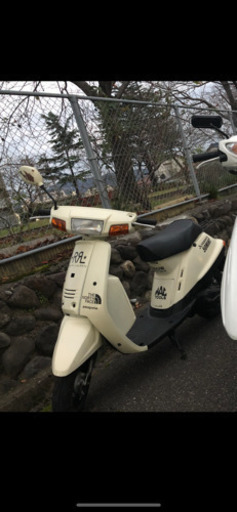 ヤマハ ミント 50 1YU スクーター Yamaha Mint