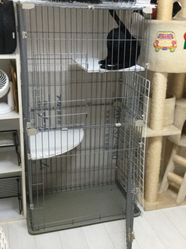 スリムキャットケージ　　アイリスオーヤマ