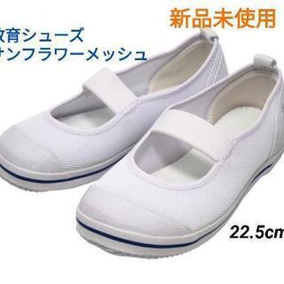 【取引先決定】新品未使用！ 教育シューズ サンフラワーメッシュ ...
