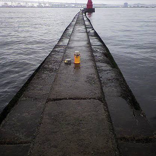 依存症気味🎣