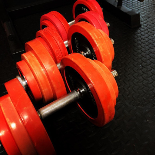 【格安】総重量70kg！アイロテック20kg×2セット　ファイティングロード15kgl×2セット