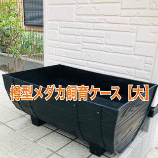 樽型メダカ飼育ケース【大】