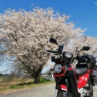 125ccでツーリング&キャンプメシ