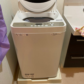 ユナイト ハク チェキ