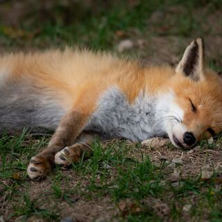 北海道のカメラグループに入りませんか😄カメラ始める方も歓迎です😊