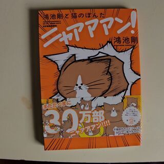 ニャーアアン（鴻池剛と猫のぽんた）