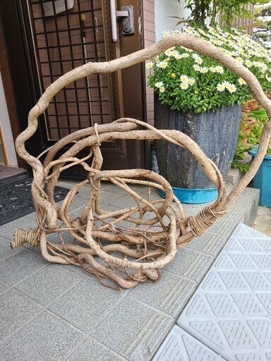 カズラ
