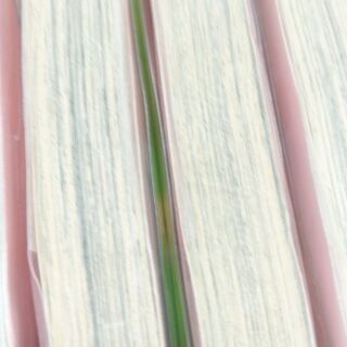 煩悩パズル「１～８」全巻の画像