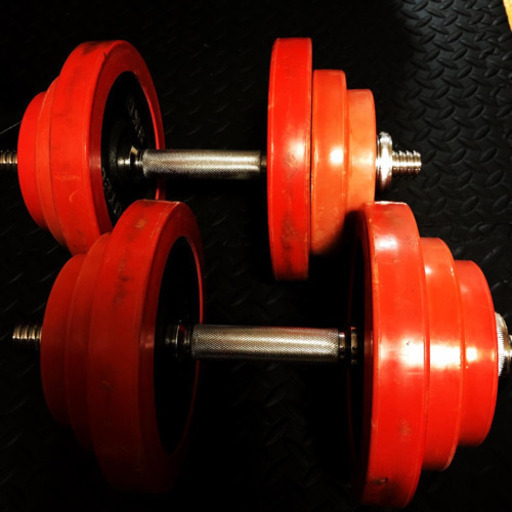 アイロテック IROTEC ダンベル 20kgセット