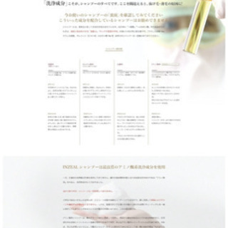 【新品・未使用】INZEALシャンプー　ノンシリコン　育毛　脱毛　薄毛の画像