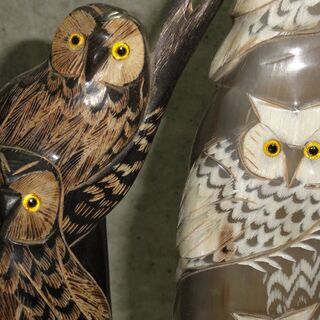 フクロウの置物　珍しい2連、3連　牛角？ 彫刻 梟 ふくろう フクロウ 不苦労 福来朗 縁起物 開運招福 置物 飾り物 和風 インテリア 動物 2個の画像