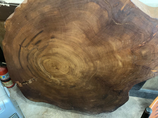 年輪300年です。最終値下げ！！