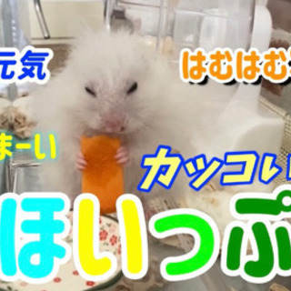 YouTubeのサムネイルや動画編集やります - その他