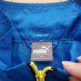 プーマ、ピステ❗140センチの画像