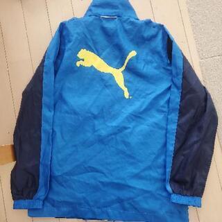 プーマ、ピステ❗140センチの画像