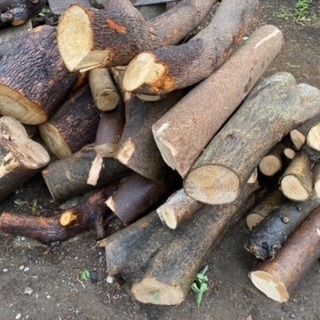 あげます0円　木材㊁　工芸資材などにの画像