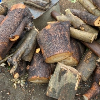 あげます0円　木材㊁　工芸資材などにの画像