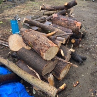 あげます0円　木材㊁　工芸資材などにの画像