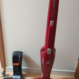 Electrolux ergorapido LITHIUMの画像
