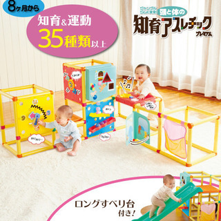 ジムに変身！頭と体の知育アスレチックプレミアム【トイザらス限定】
