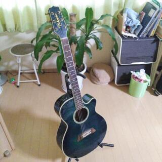 タカミネNPT110ジャンクの画像