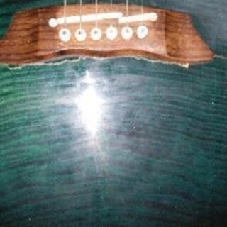 タカミネNPT110ジャンクの画像