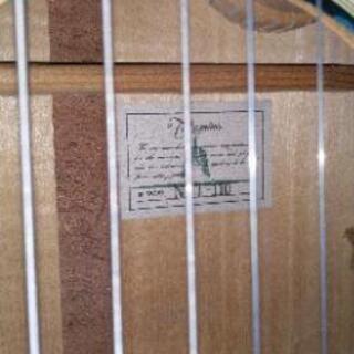 タカミネNPT110ジャンクの画像