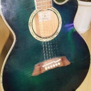 タカミネNPT110ジャンクの画像