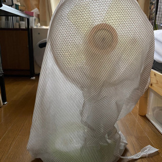 扇風機 リモコン付くの画像