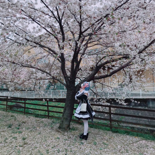 コスプレ仲間募集