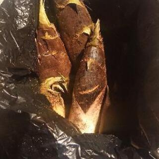 筍 5kg箱 本日限定分
