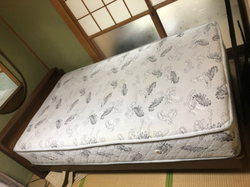 セミダブルベット(確定しました)
