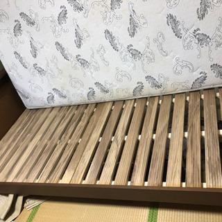 セミダブルベット(確定しました)の画像