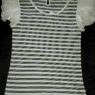 夏　子供　タンクトップ　ボーダー　白の画像