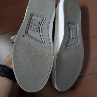 限定品　コンバース&Earthのコラボ　値下げ可能の画像