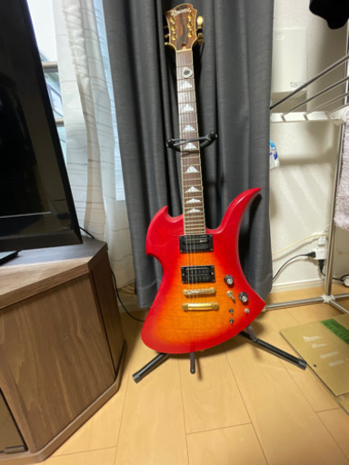 Burny エレキギター　決まりました