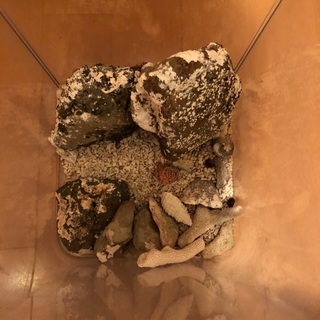 海水魚用水槽 中古の画像