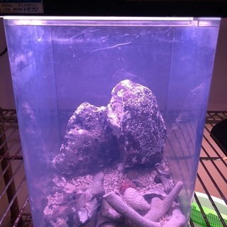 海水魚用水槽 中古の画像