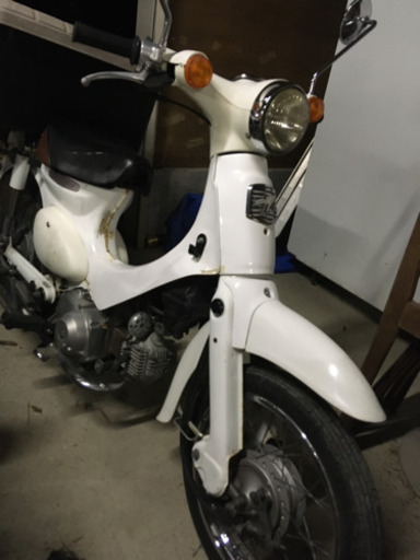 HONDA リトルカブ50 ホワイト