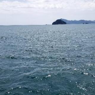 一緒に釣りいきましょ！
