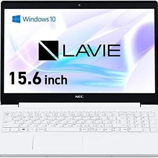 【Web限定モデル】 NECノートパソコンLAVIE Direct NS (Pentium搭載・1TB HDD・カームホワイト) (Officeなし・1年保証） (Windows 10 Home)