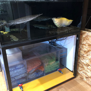 水槽セット　アクリル　1200 オーバーフロー